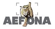 aefona.org