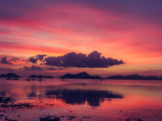 Photography website of nature AlfPhotographer.com