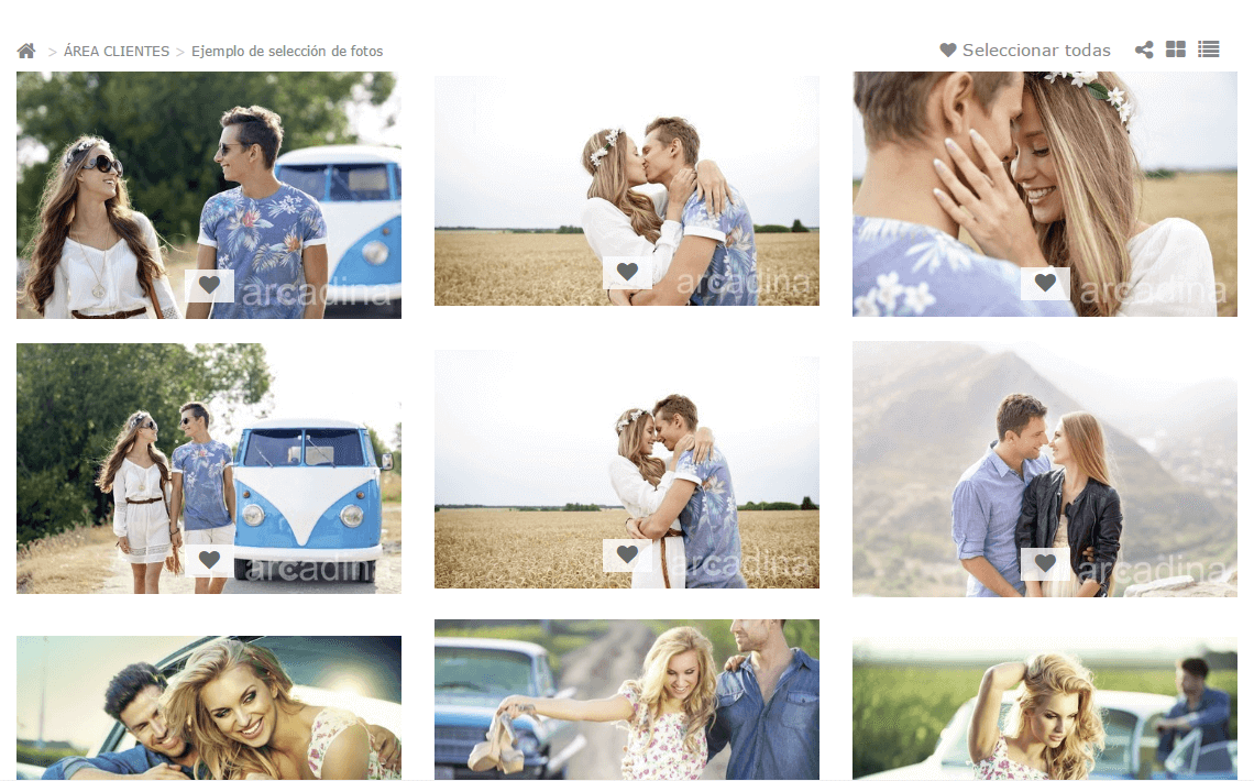 Selección y descarga de fotos Selección y descarga de fotos