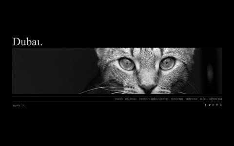 Sito web con blog per i fotografi - Theme dubai