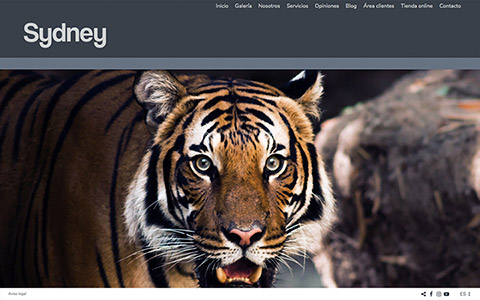 Sito web con blog per i fotografi - Theme sydney