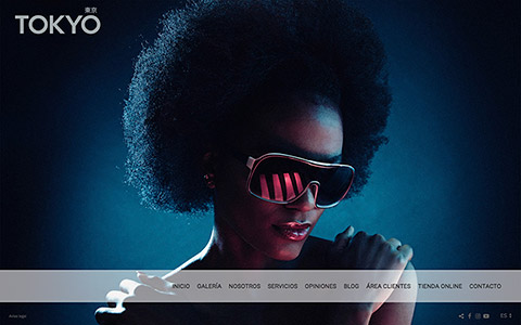 Sito web con blog per i fotografi - Theme tokyo